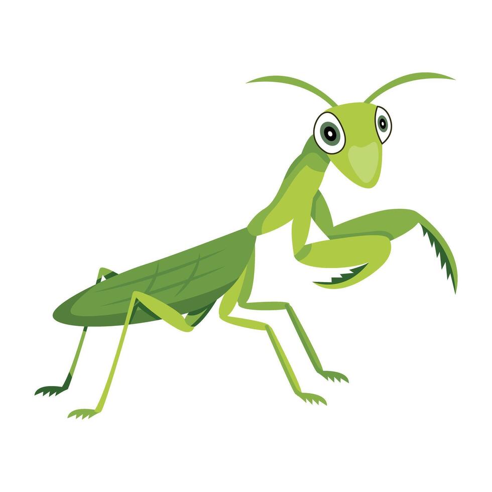 WebA flat style icon of leaf mantis vector