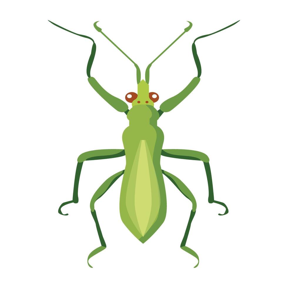 WebCute green mantis icon in flat style vector