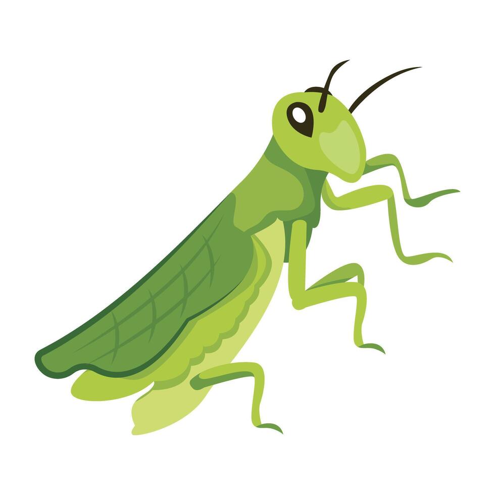 WebThis flat icon depicting cute praying mantis vector