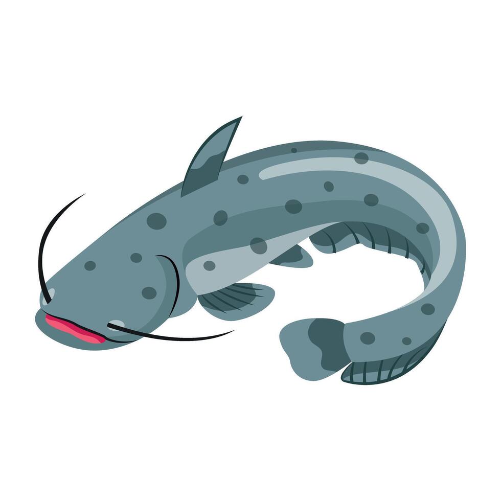 WebA flat style icon of wels catfish vector