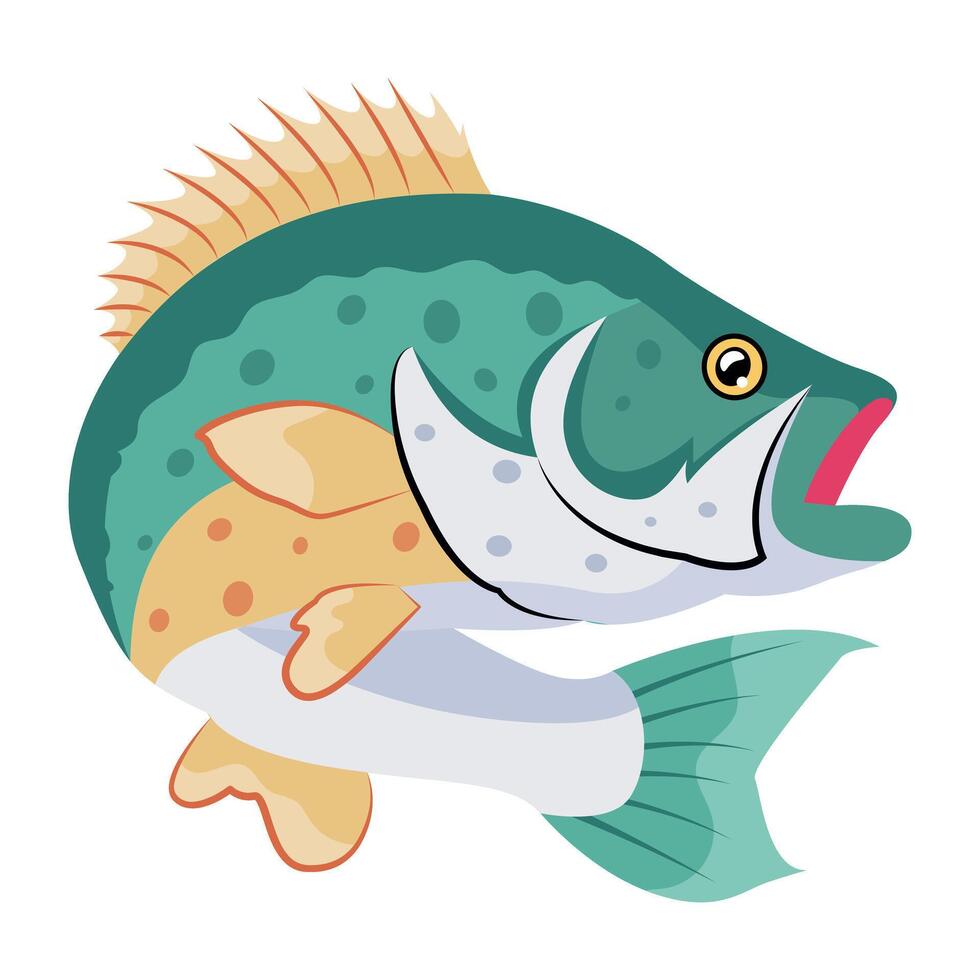 WebA flat style icon of bass fish vector