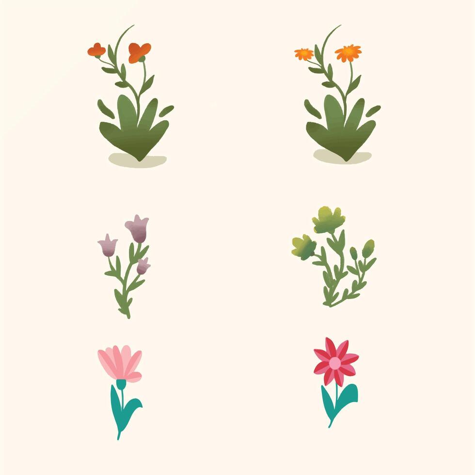 charming flower design collection vector