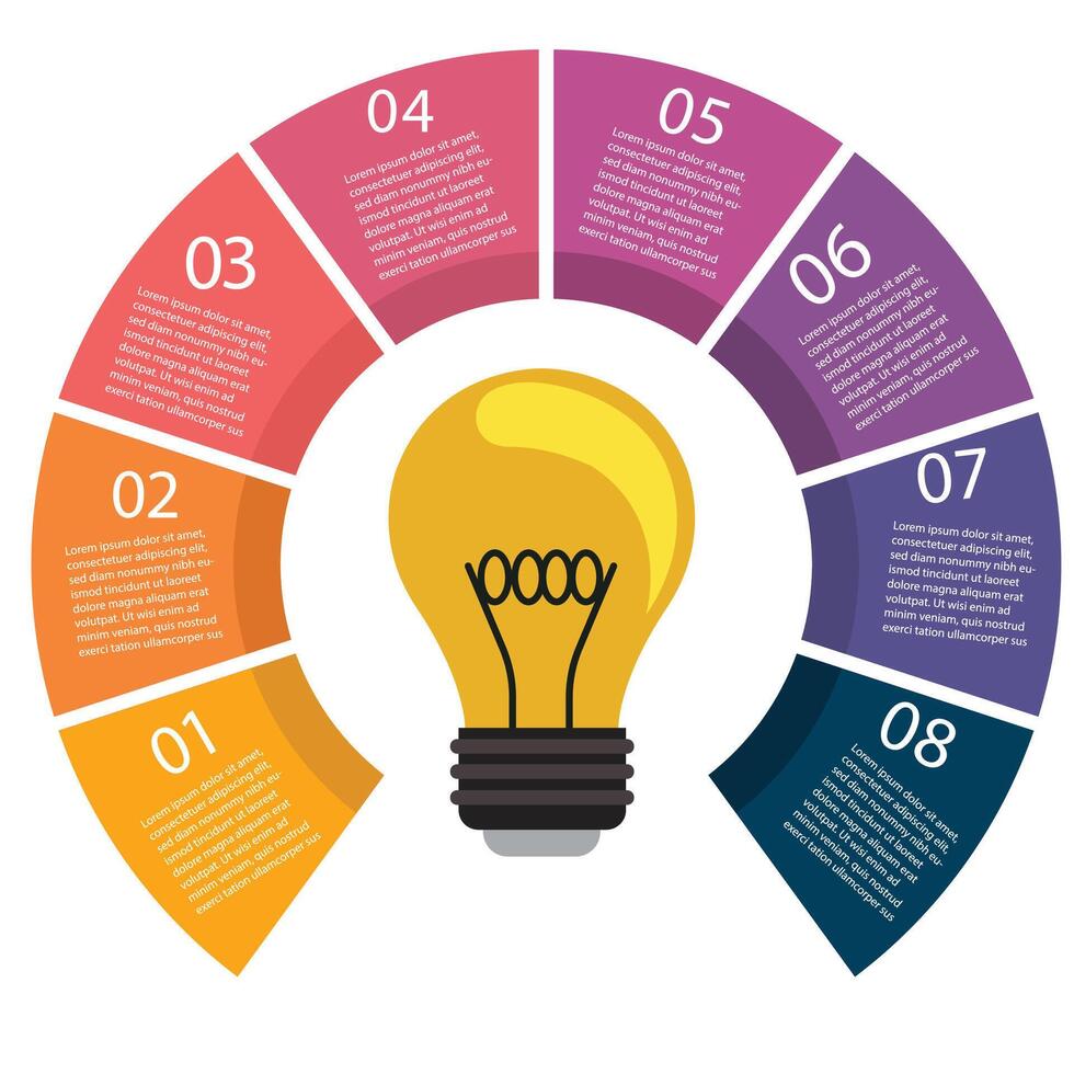 8 points bulb infographic vector