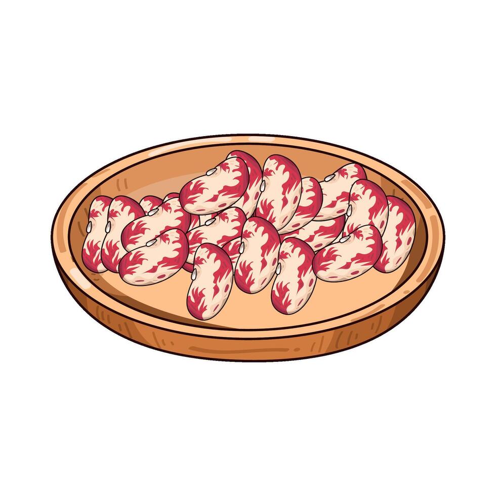 Illustration of pinto beans vector