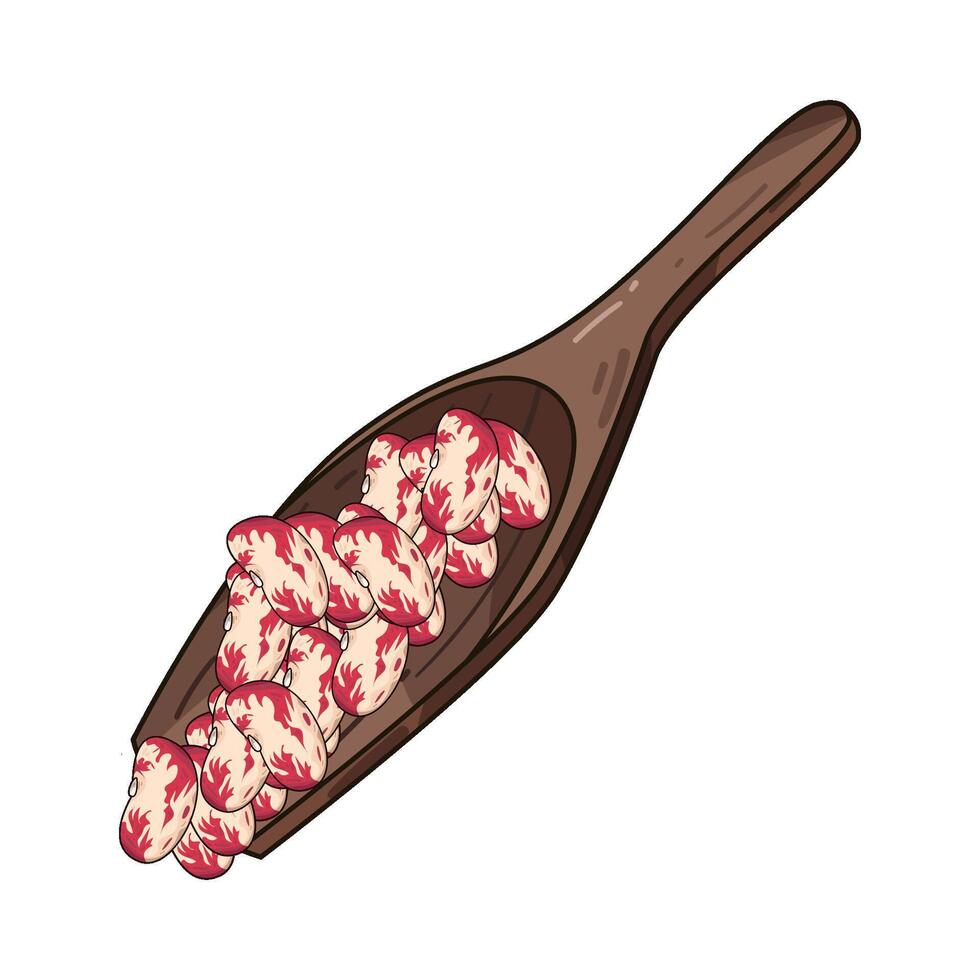 Illustration of pinto beans vector