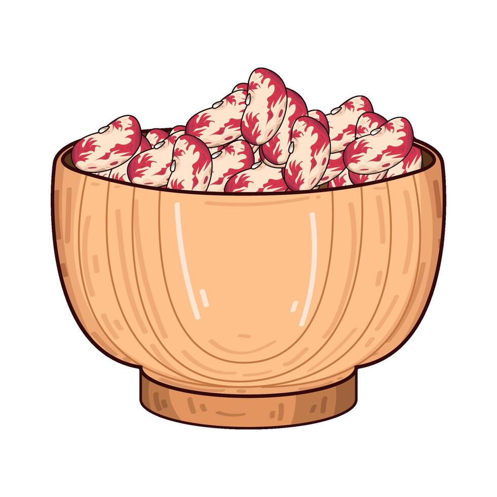 Illustration of pinto beans vector