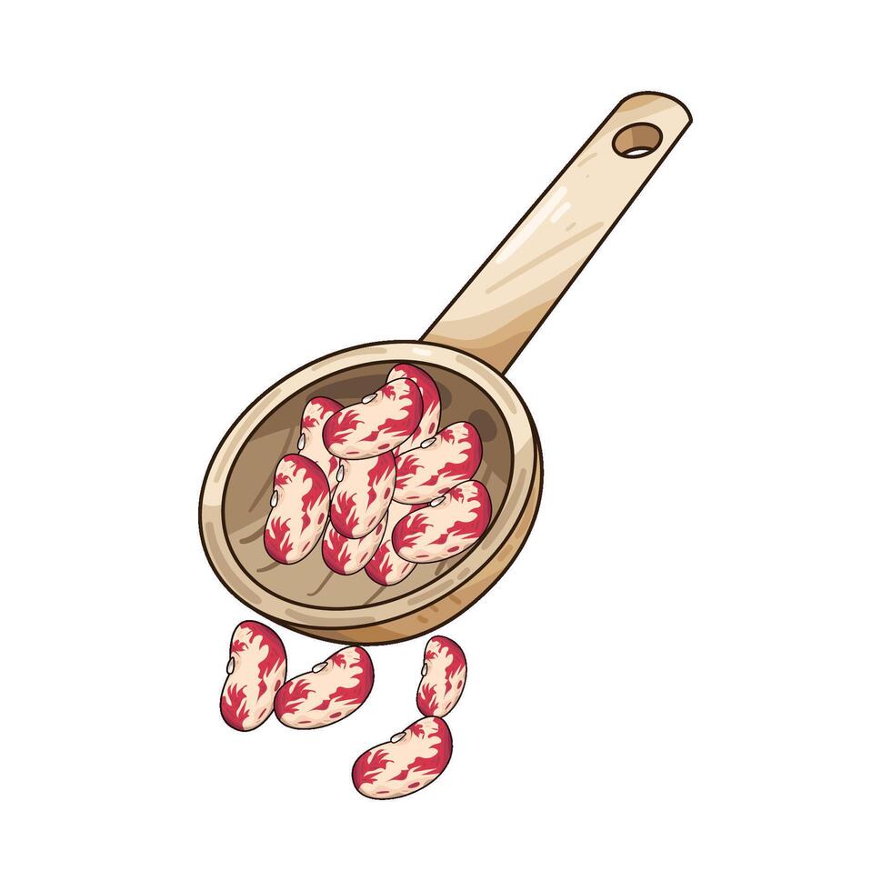 Illustration of pinto beans vector