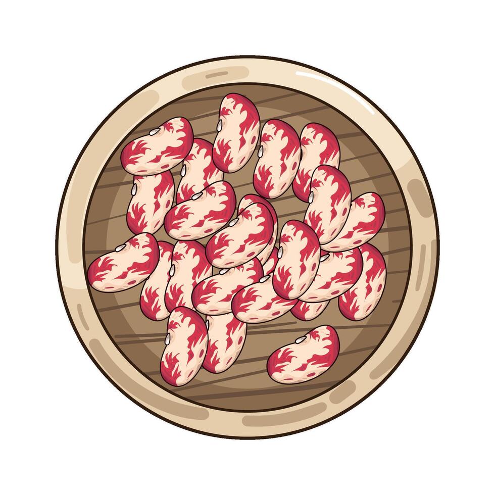 Illustration of pinto beans vector