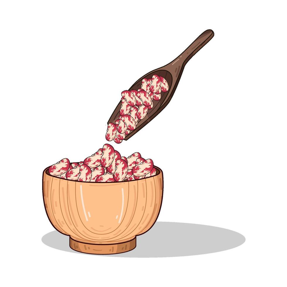 Illustration of pinto beans vector