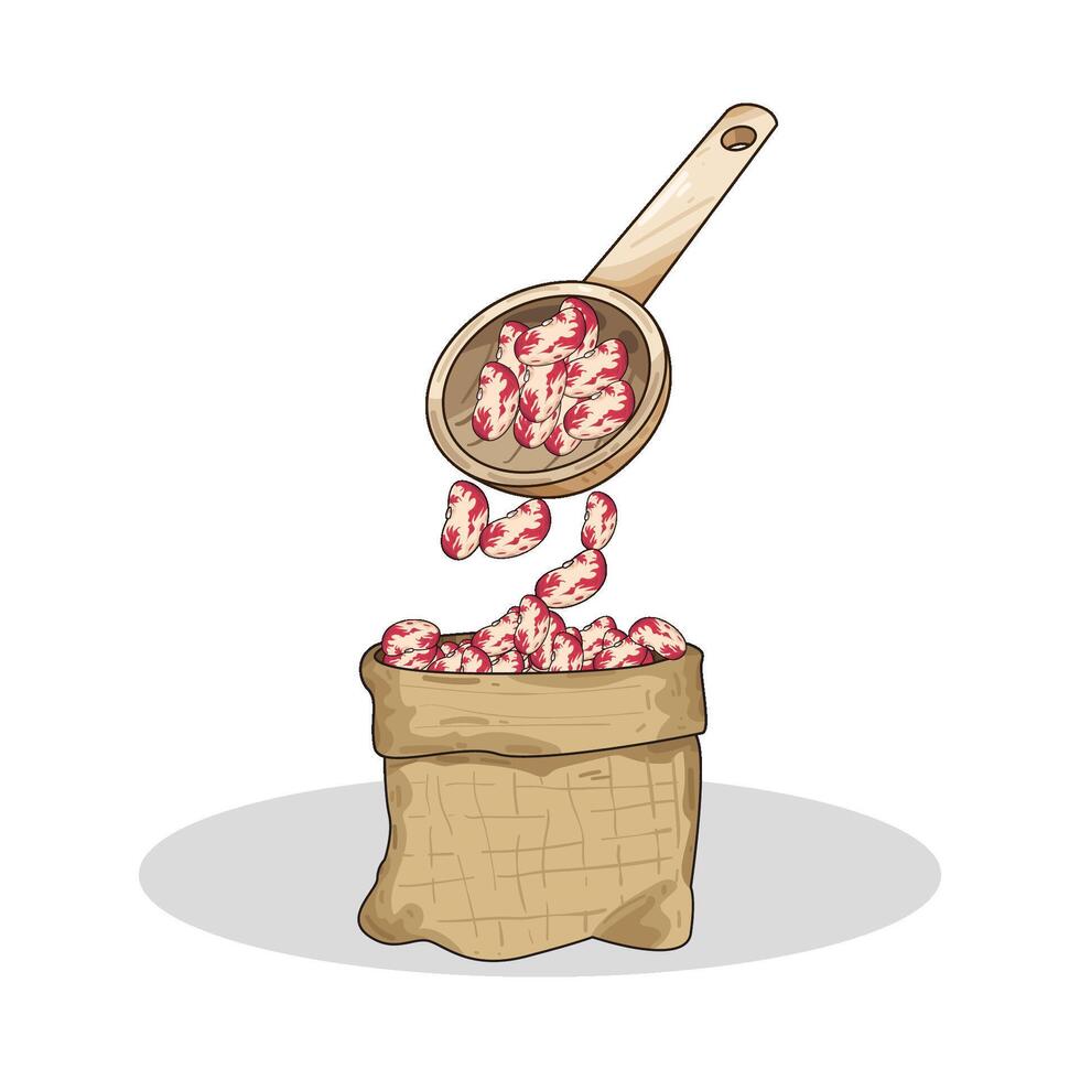 Illustration of pinto beans vector