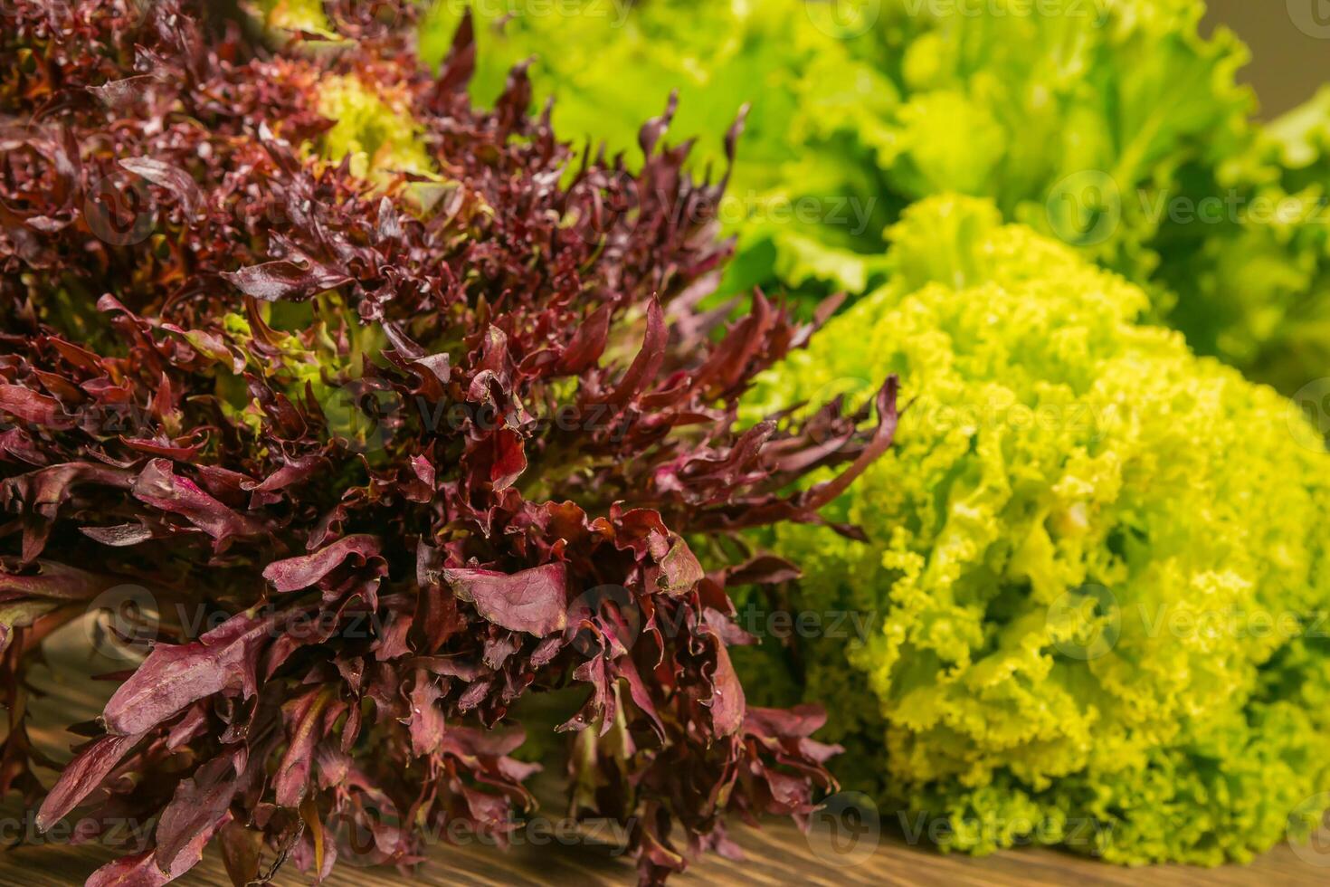 Leaves of lettuce and basil on a wooden background. Seasoning for the kitchen. Greenery. photo
