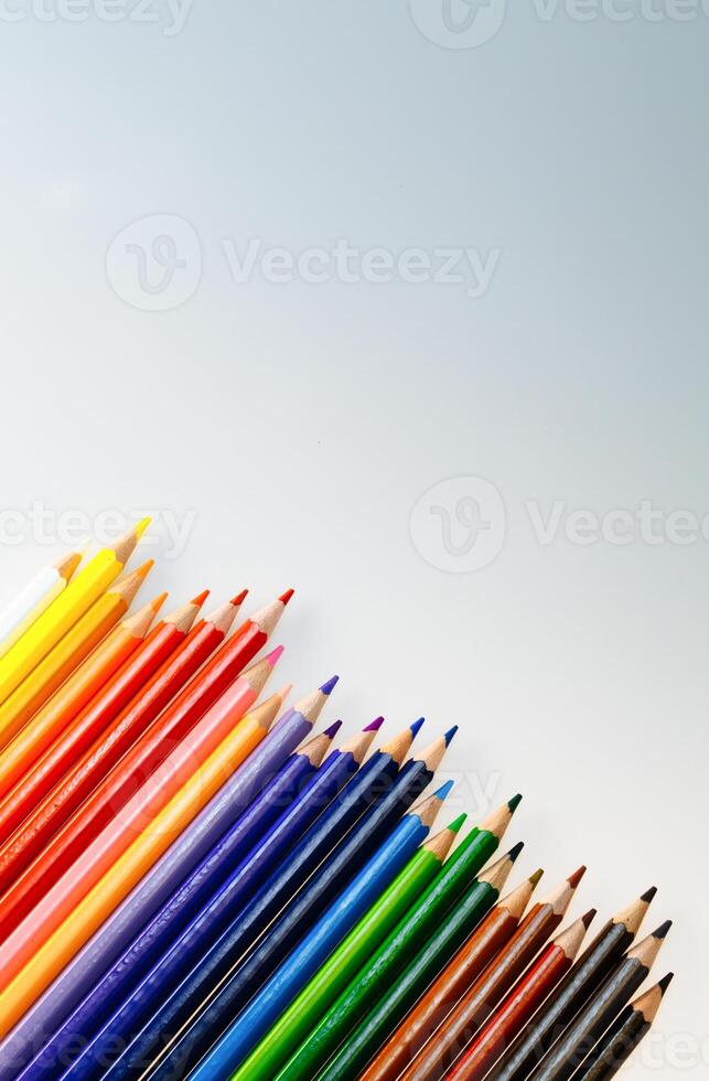 Color pencils on white background. Pencils for School or Professional Use. Drawing instruments for creating pictures photo