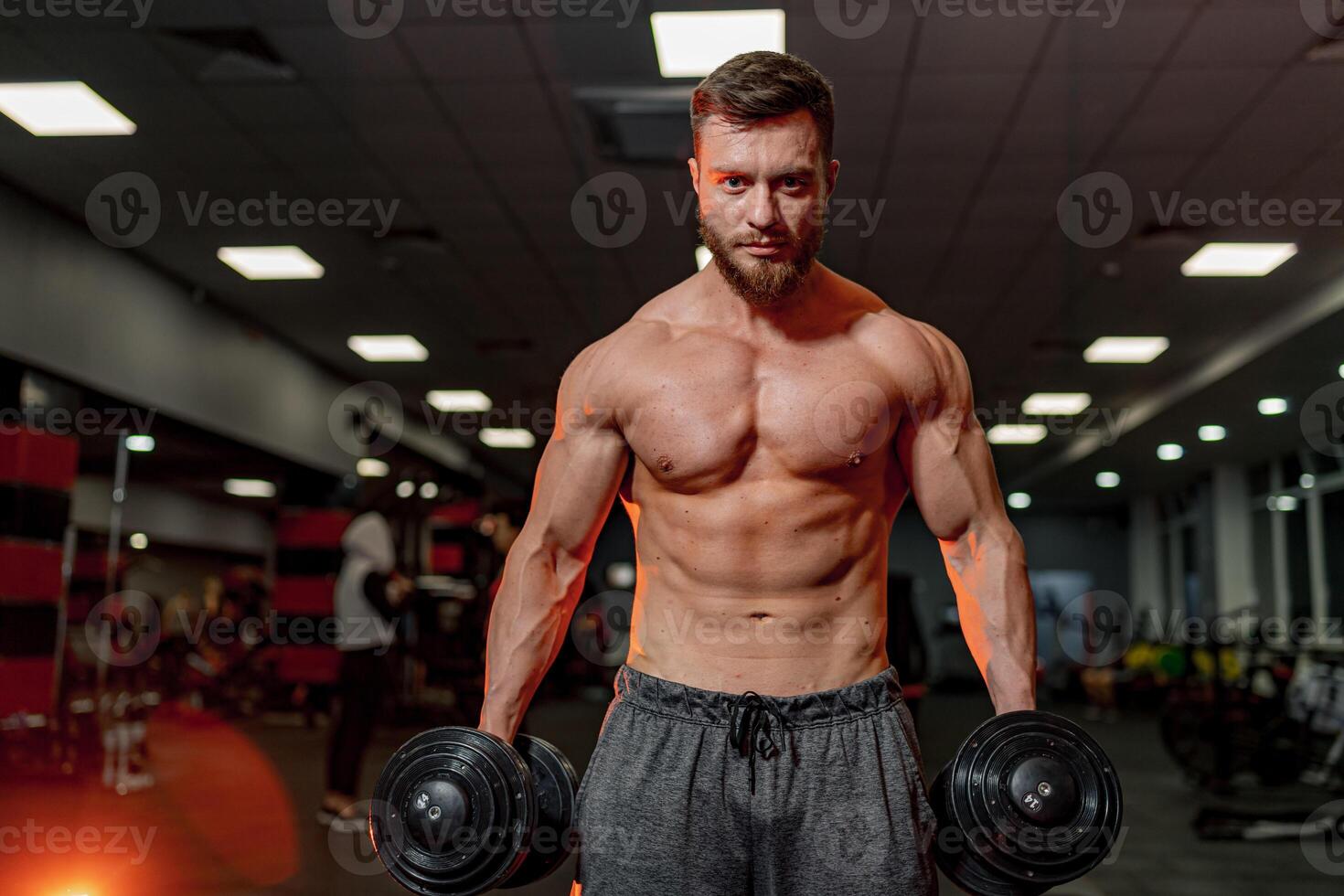 Male with muscular torso working at gym. Strong shirtless man training his body. photo