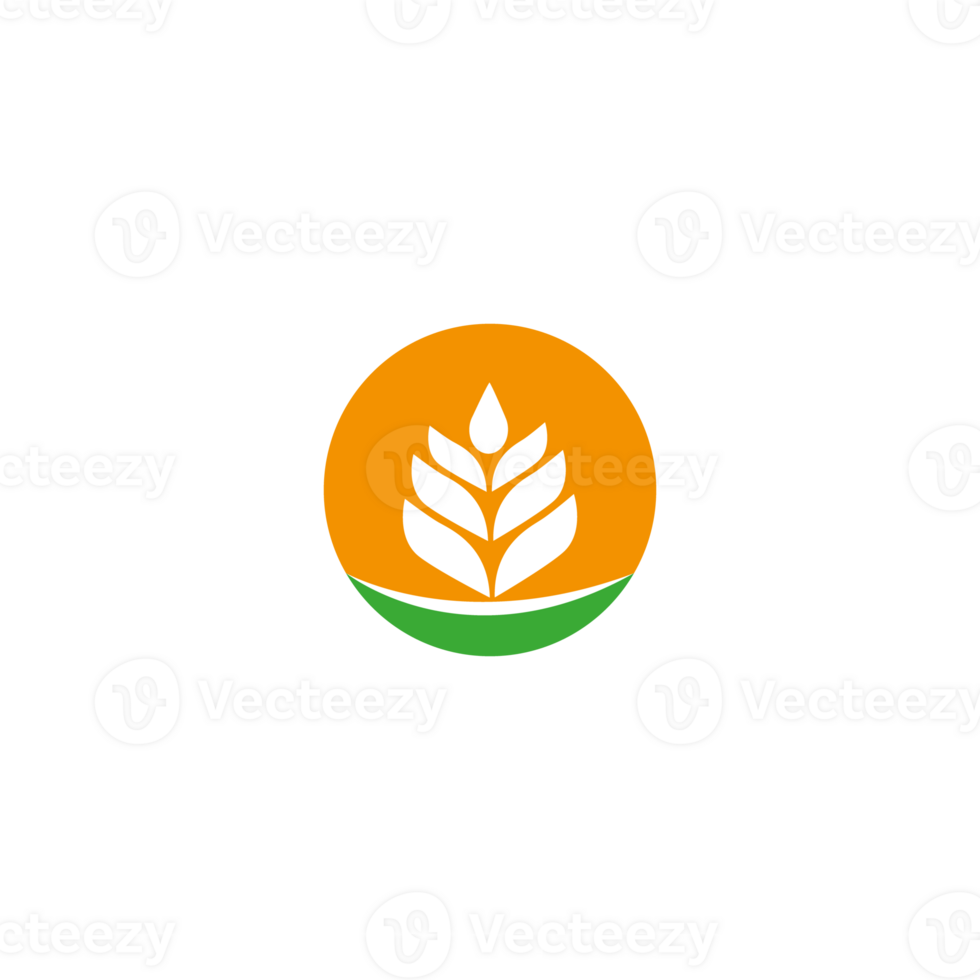 Grain Wheat Logo Concept sign icon symbol Design. Illustration logo template png