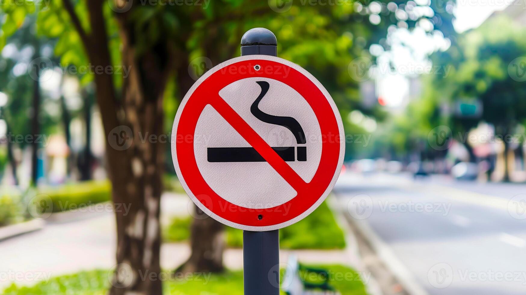 No Smoking Sign on Busy Street with Lush Green Trees and Roadside Scenery on a Sunny Day photo