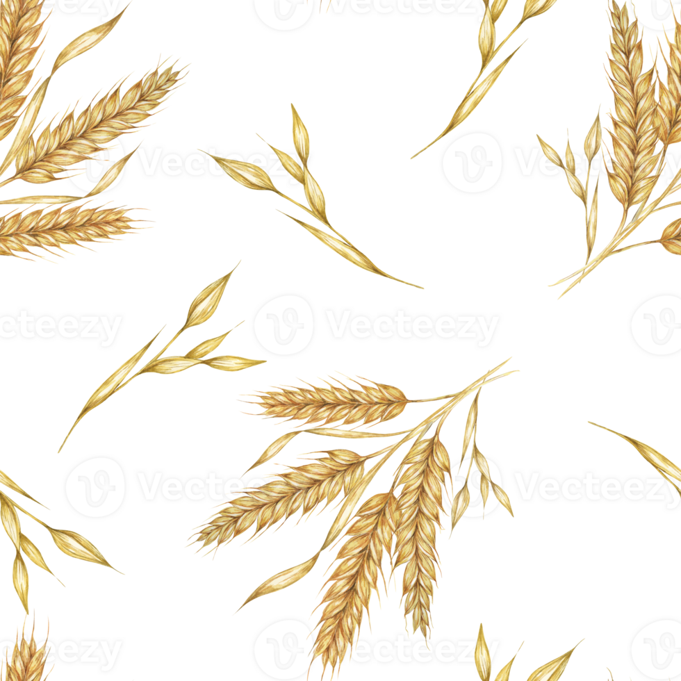 Golden wheat or barley spikes background. Watercolor seamless pattern Perfect for textile design, rustic-themed packaging, eco-friendly branding, and nature-inspired wallpapers and stationery png