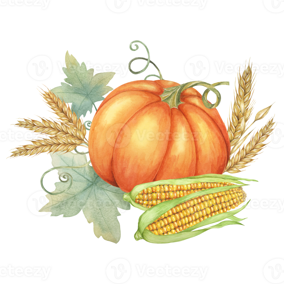 Orange pumpkin accompanied by two ears of yellow corn and wheat stalks with background of green leaves. Clipart for use in seasonal greeting cards, farm-to-table menus, and autumnal event flyers. png