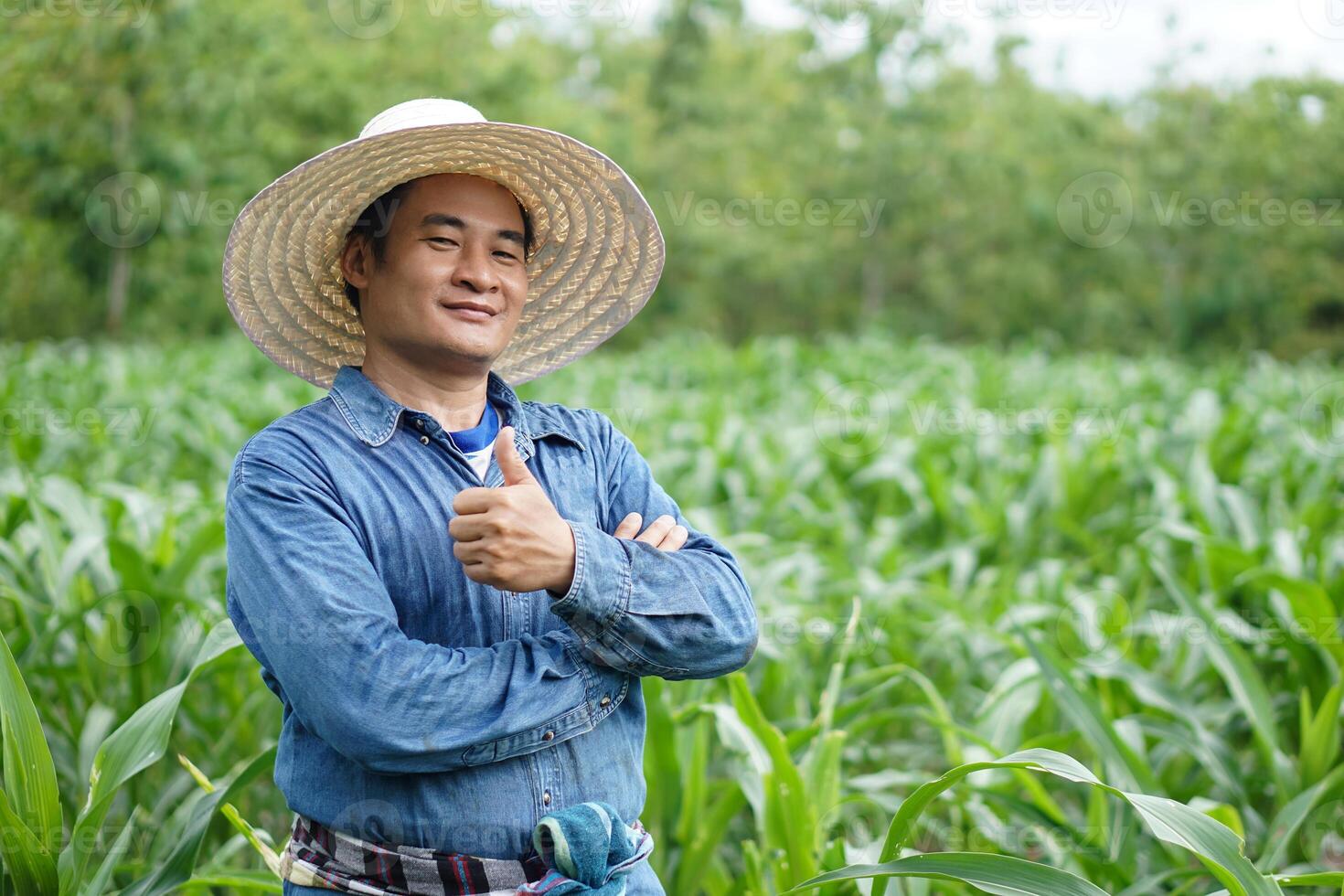 Asian farmer wears hat, blue shirt, thumbs up, stand at maize garden, feel confident. Concept, Agriculture occupation. Thai farmer lifestyle, Feeling proud and satisfied in crop production. photo