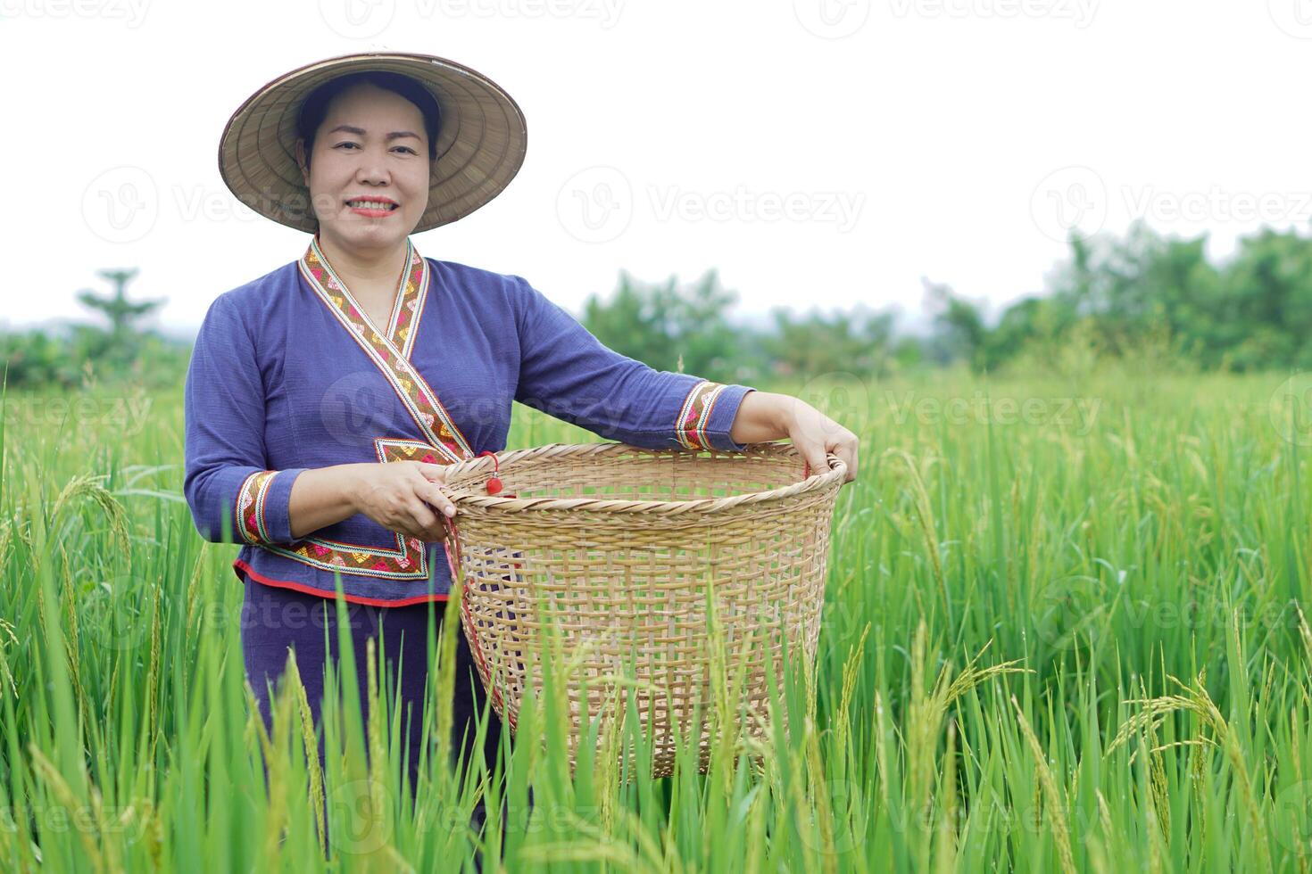 Beautiful Asian woman farmer is at paddy field, holds basket, visit and take care rice plants after growing and waiting to harvest. Concept, Agricultural lifestyle. Organic farming. Thai farmer. photo