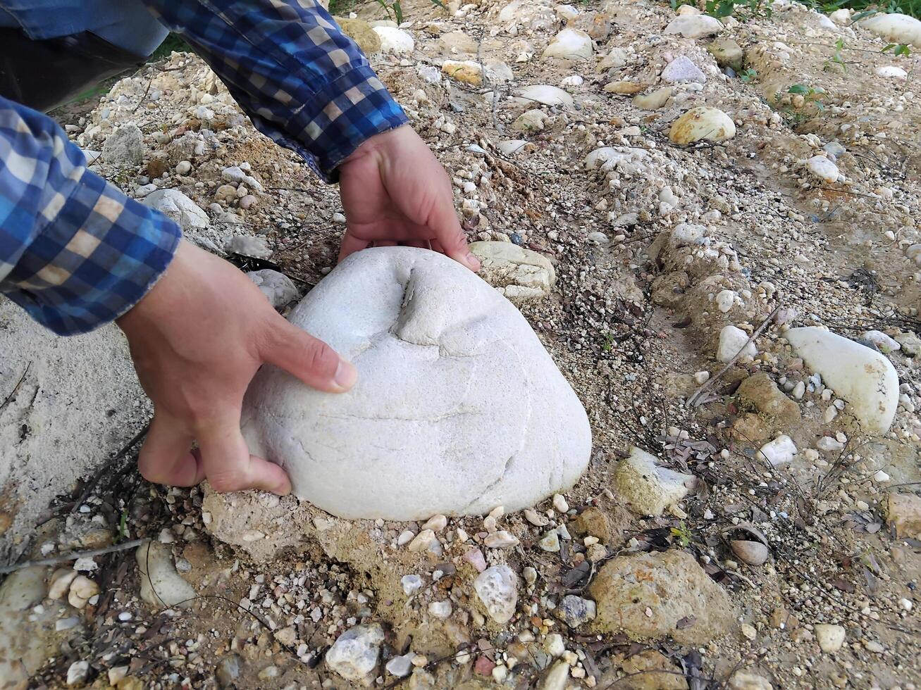 Close up man hands tries to pull up the big stone from ground. Concept, heavy. Hard working. Strong body to lift or move heavy rock. photo