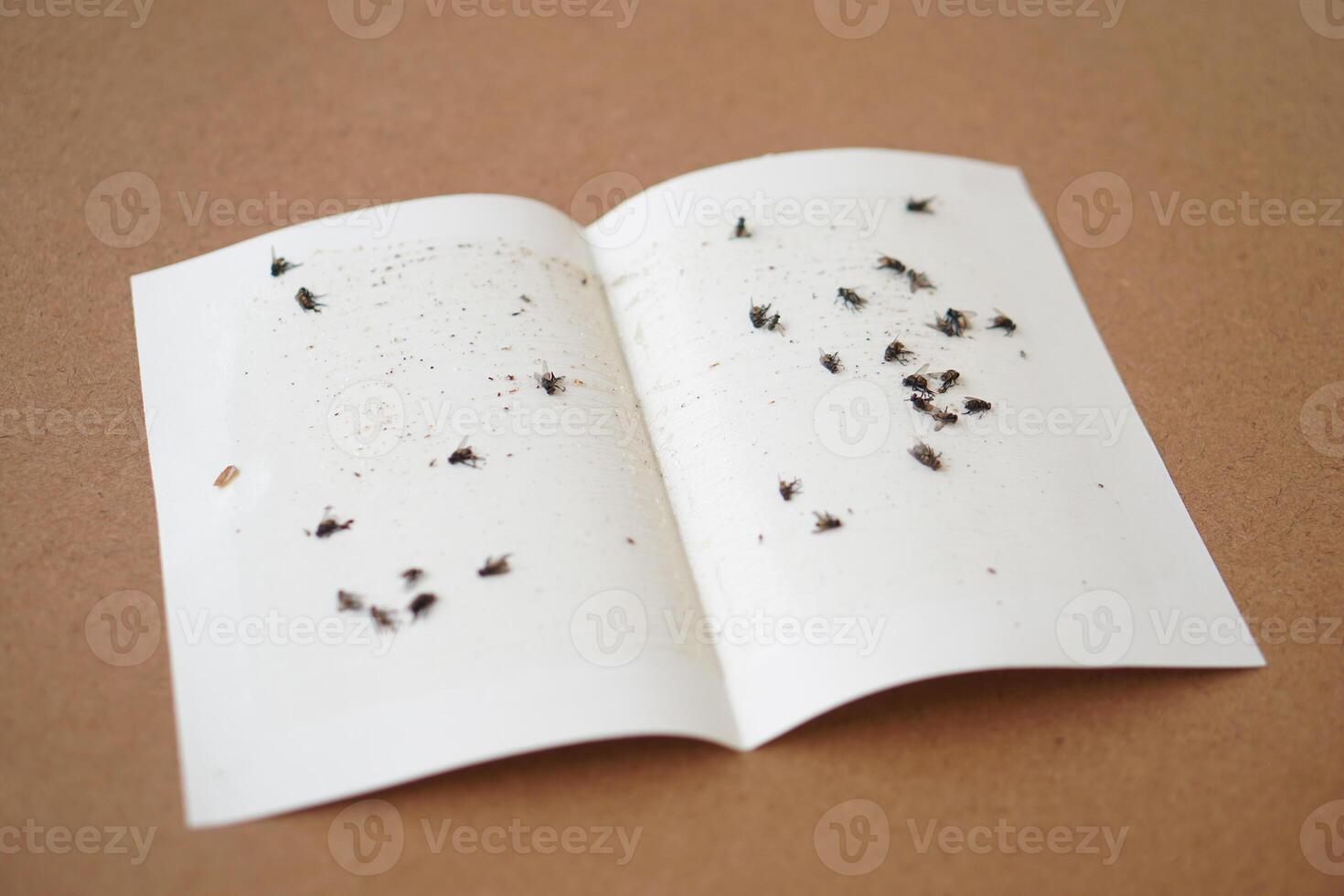 Paper glue fly trap for insects sticked on it. Flycatcher. Concept, equipment for get rid of unsatisfying or annoying insects without using chemicals or pesticide. Safety way to kill flies. photo