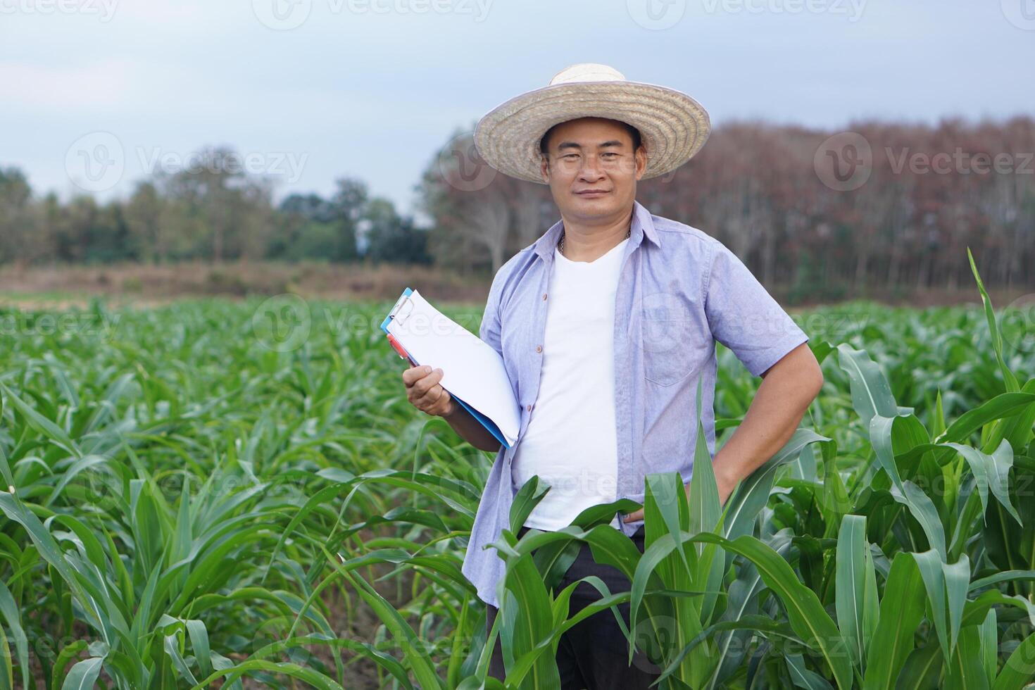 Handsome Asian man farmer is inspecting growth and diseases of plants in garden, wears hat, holds paper clipboard. Concept, Agricultural study and research. Organic farming. photo