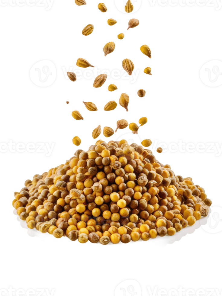 A Pile of Coriander Seeds png