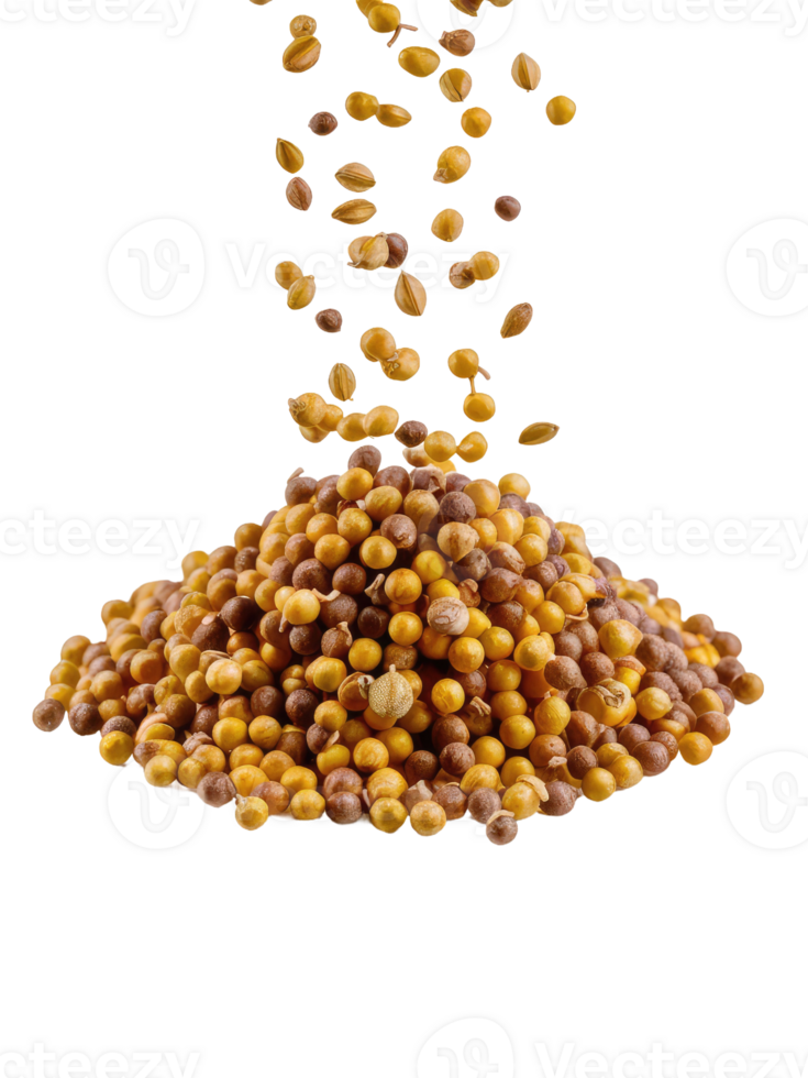 A Pile of Coriander Seeds png