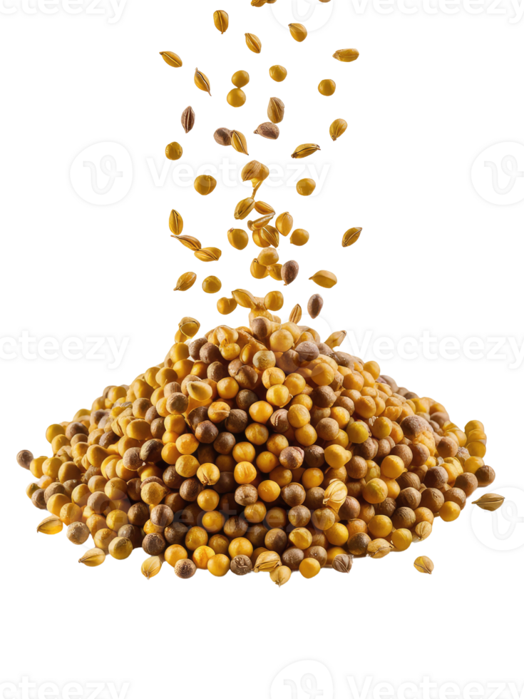 A Pile of Coriander Seeds png