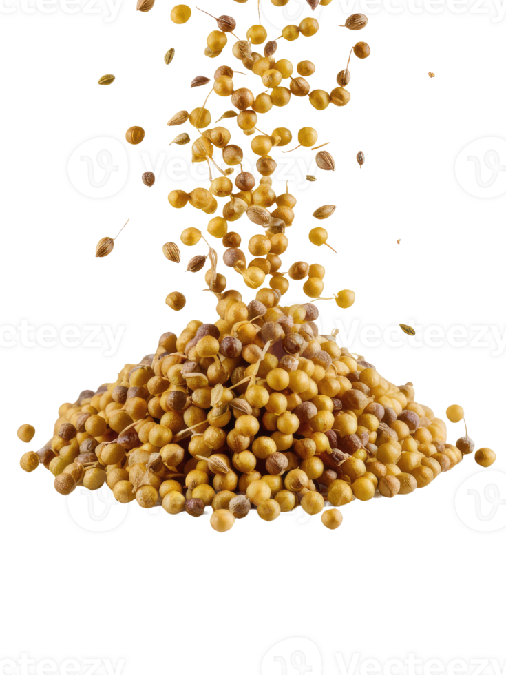A Pile of Coriander Seeds png