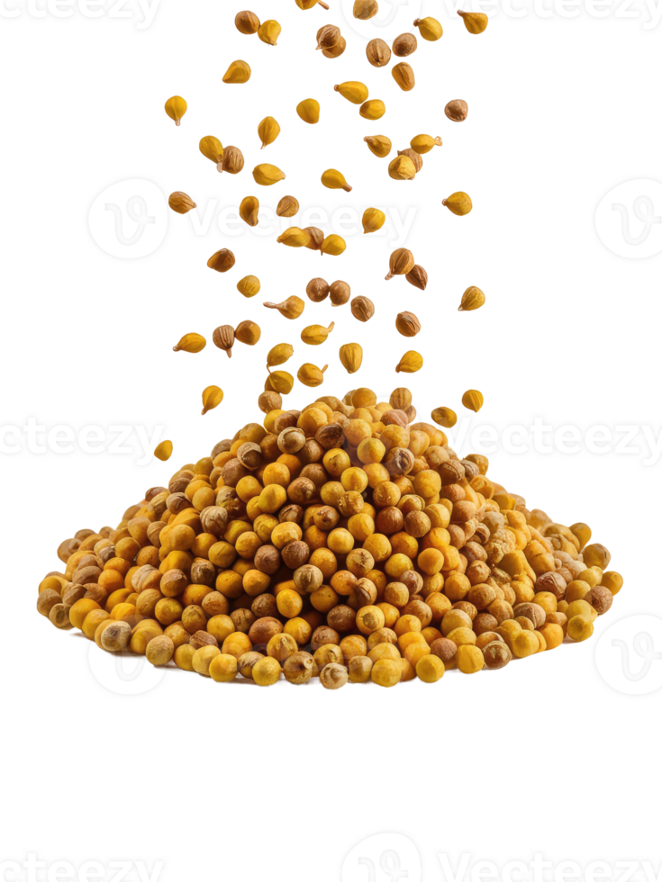 A Pile of Coriander Seeds png