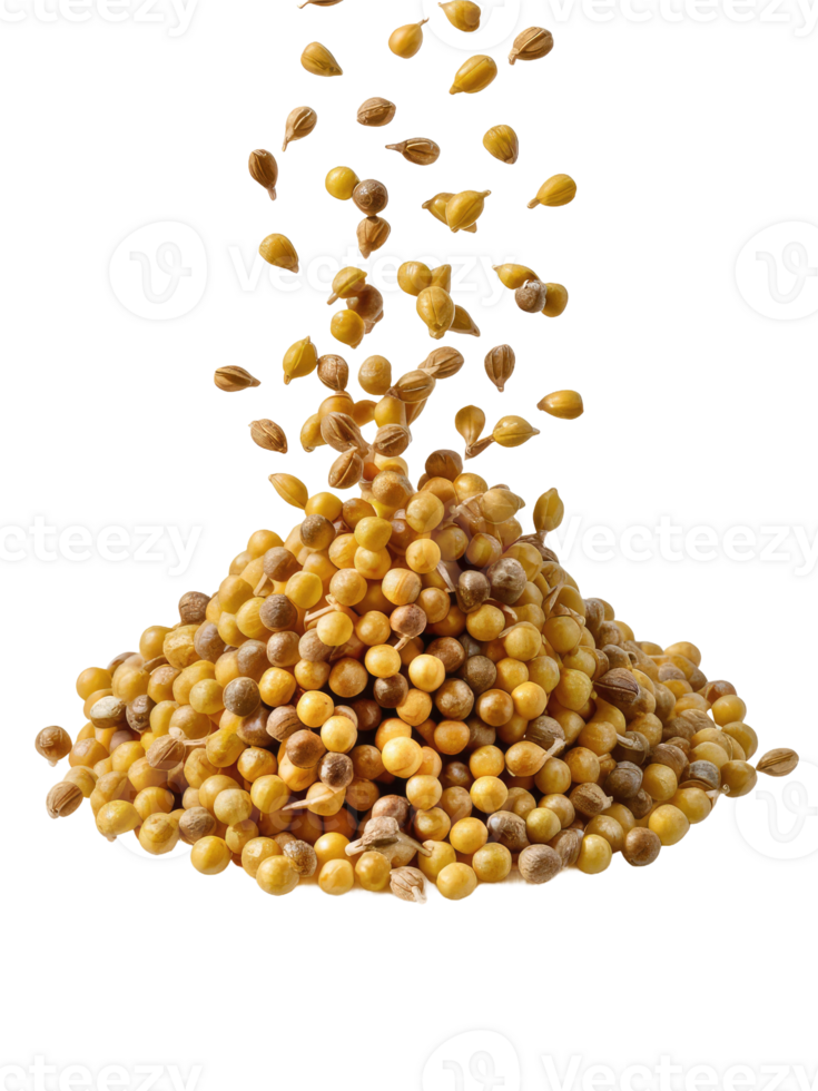 A Pile of Coriander Seeds png