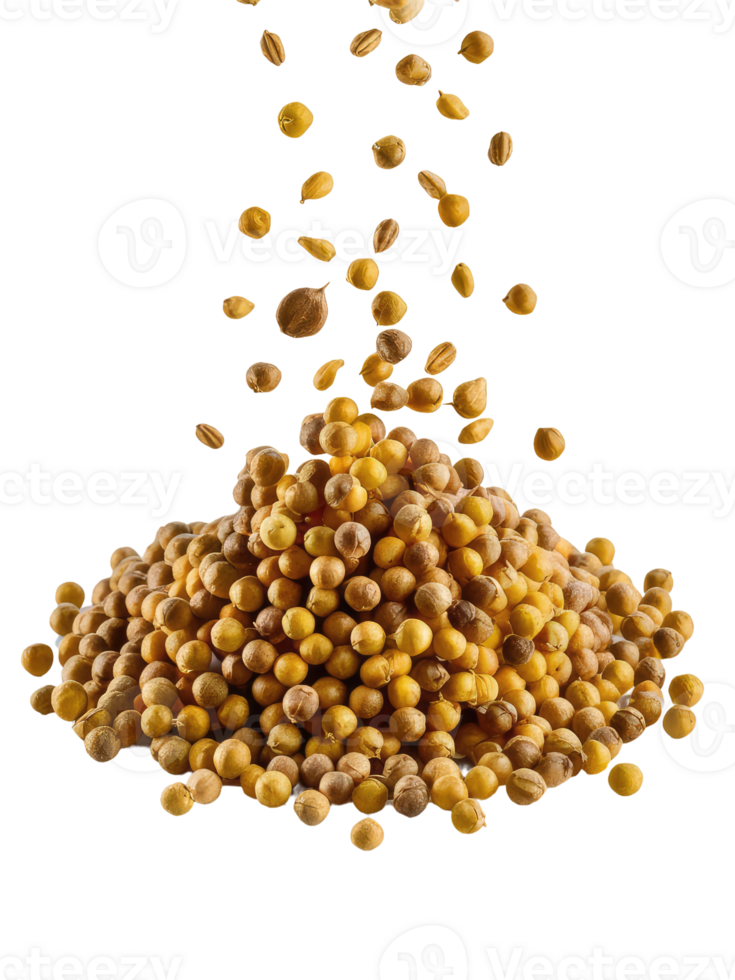 A Pile of Coriander Seeds png