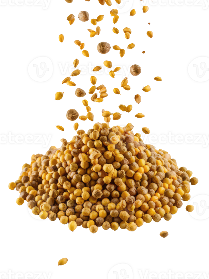 A Pile of Coriander Seeds png