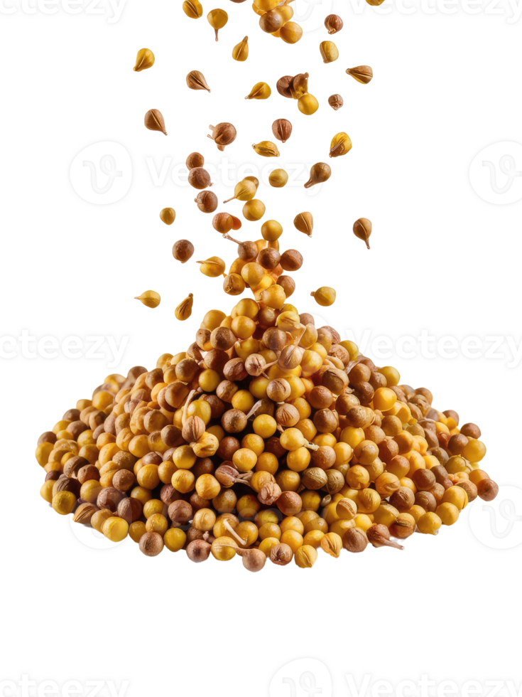 A Pile of Coriander Seeds png