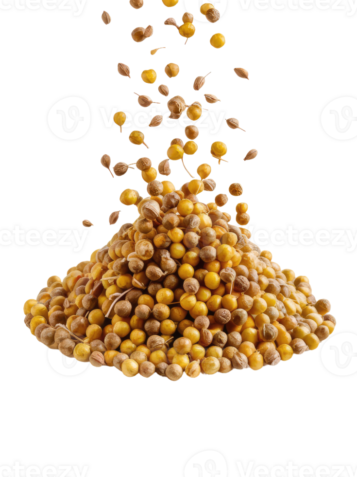 A Pile of Coriander Seeds png