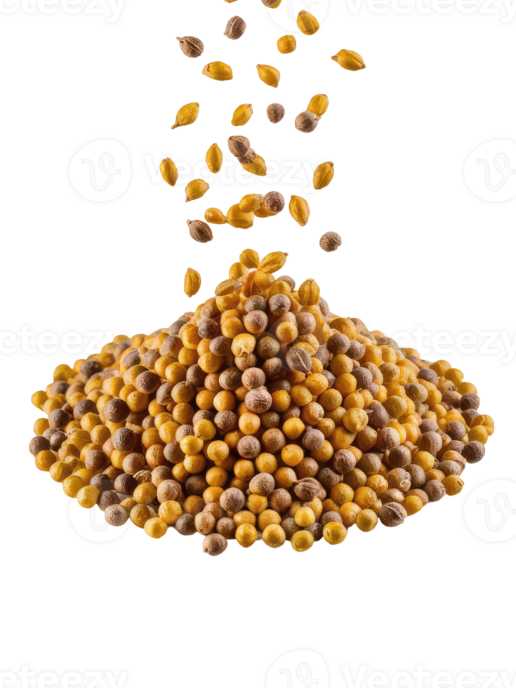 A Pile of Coriander Seeds png