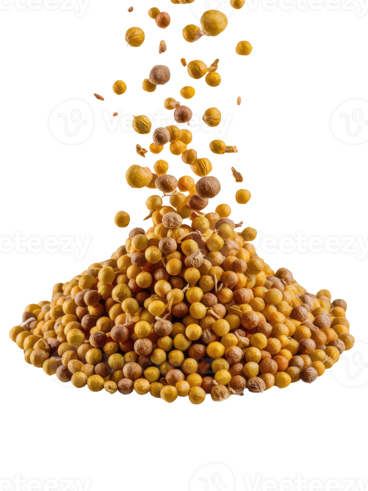 A Pile of Coriander Seeds png