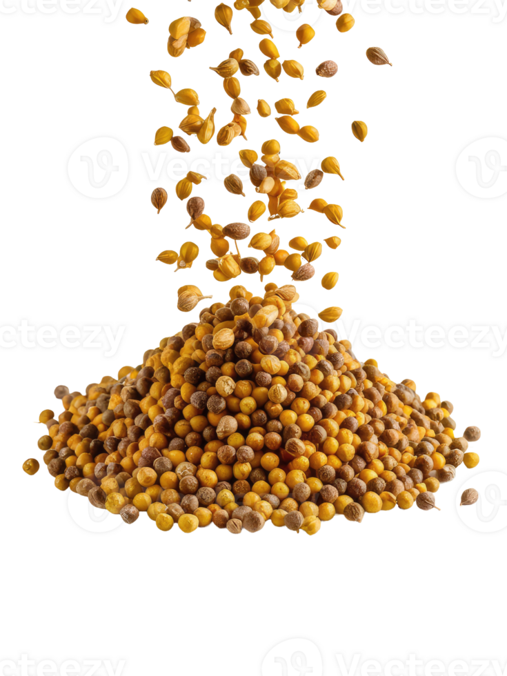 A Pile of Coriander Seeds png
