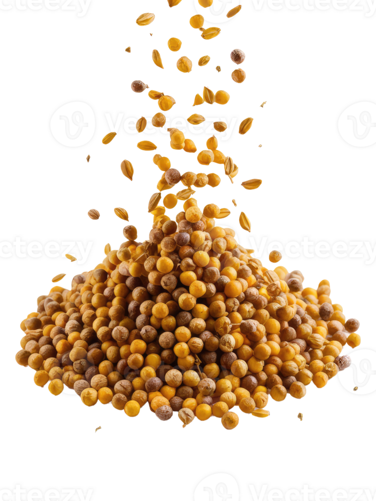 A Pile of Coriander Seeds png