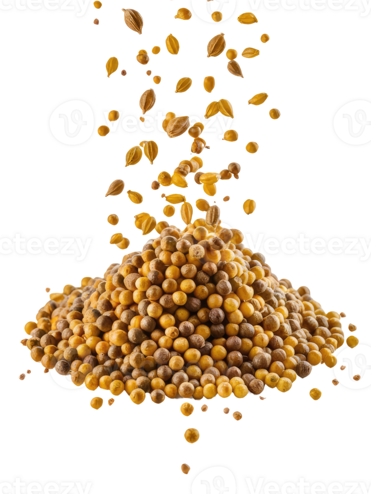 A Pile of Coriander Seeds png
