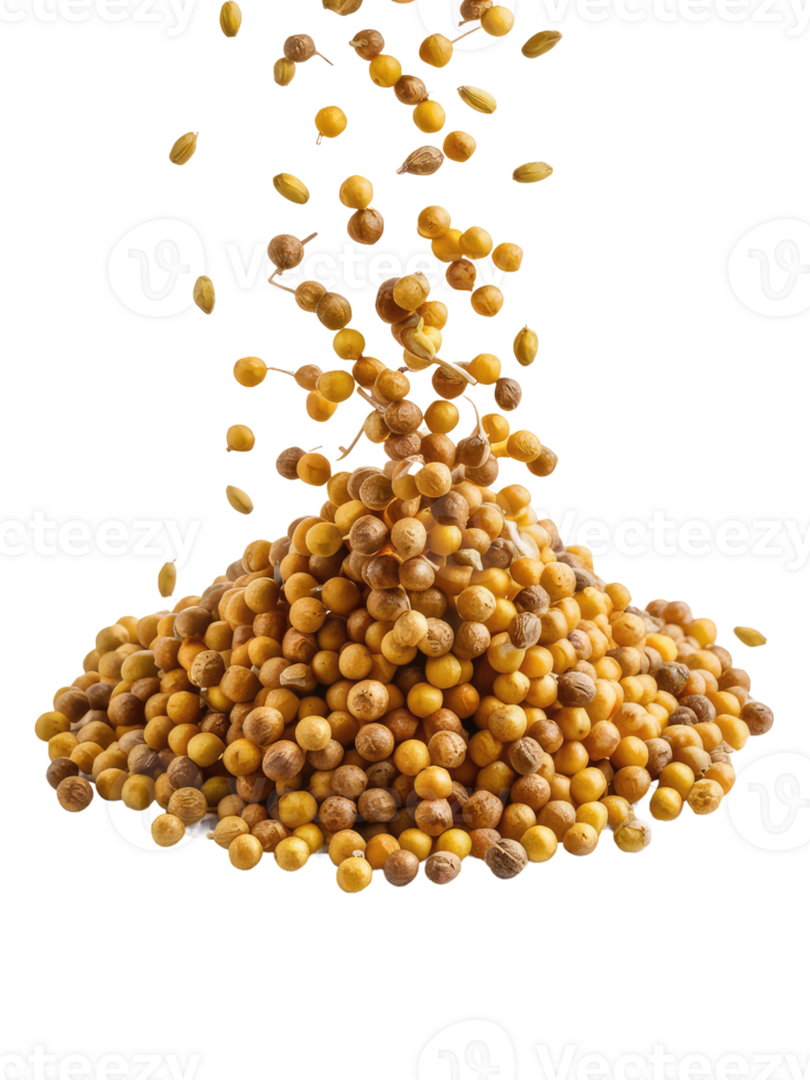 A Pile of Coriander Seeds png