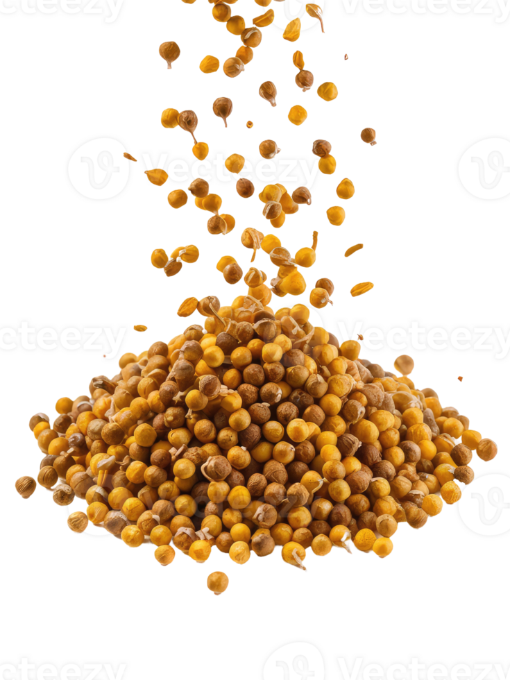 A Pile of Coriander Seeds png
