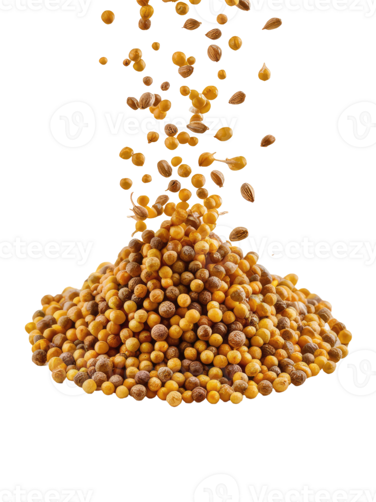 A Pile of Coriander Seeds png