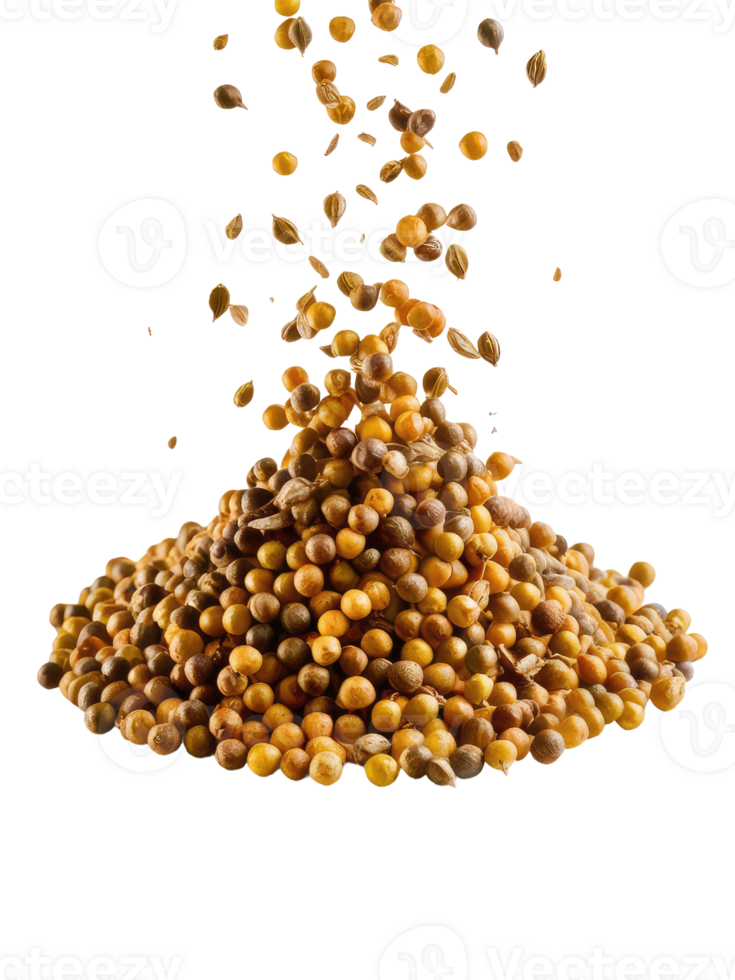 A Pile of Coriander Seeds png