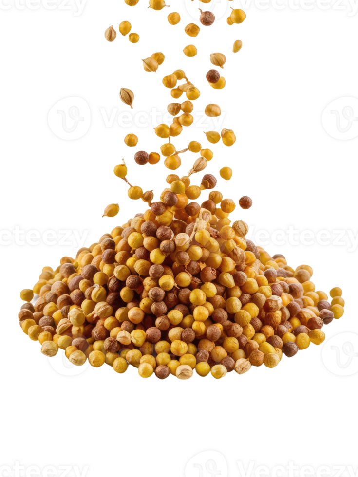 A Pile of Coriander Seeds png