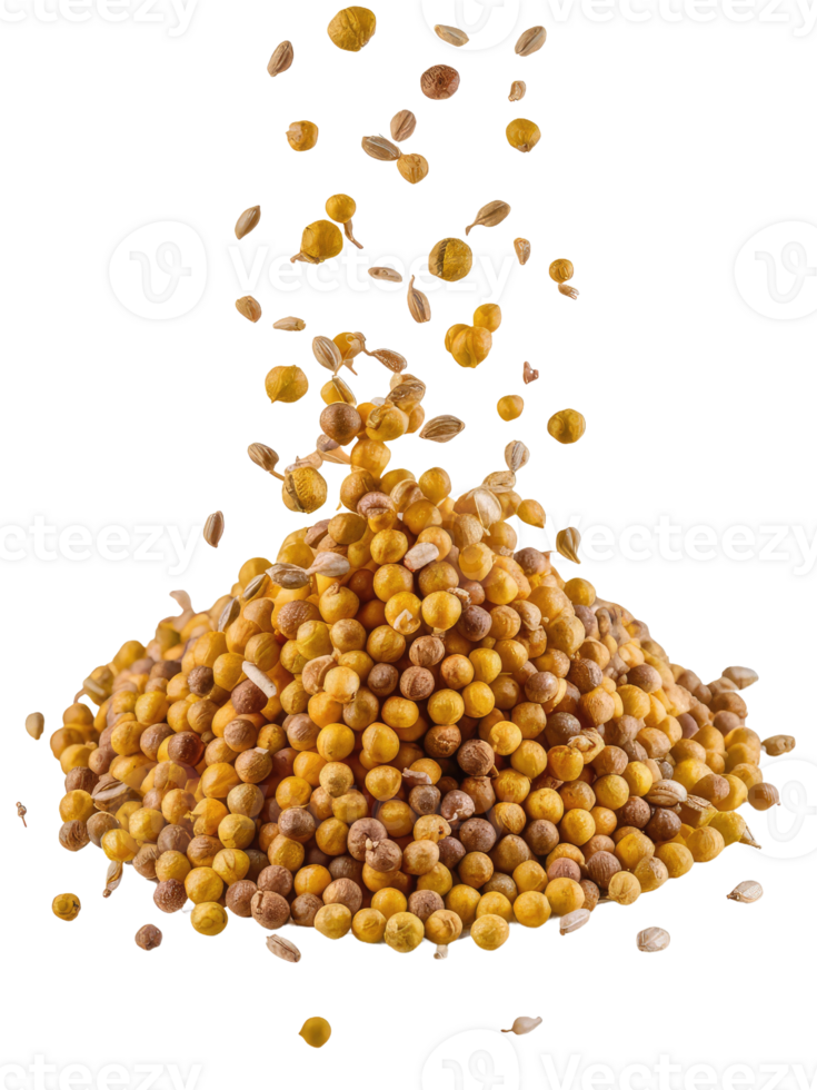 A Pile of Coriander Seeds png