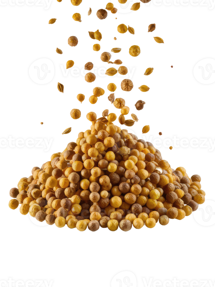 A Pile of Coriander Seeds png