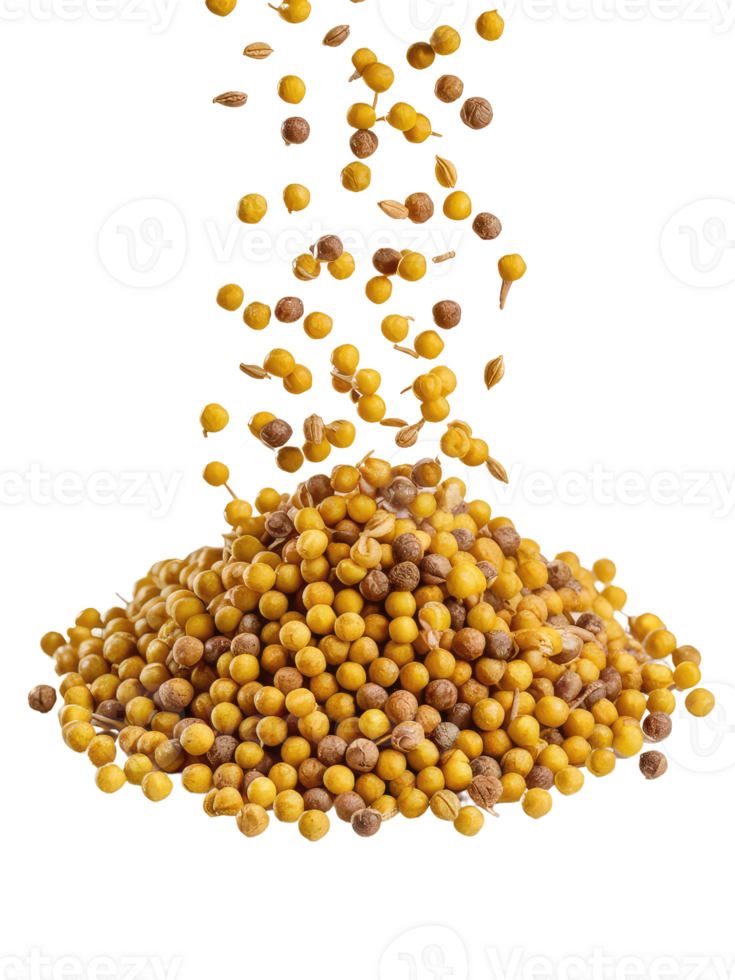 A Pile of Coriander Seeds png