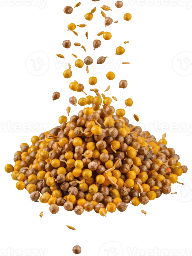 A Pile of Coriander Seeds png